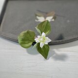 布花意外にかわいい、レアな八重のドクダミのブローチの画像
