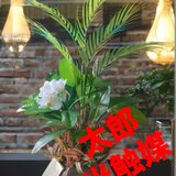 光触媒　人工観葉植物　ウォールグリーン　フェイクグリーン　アレカヤシアレンジ80の画像