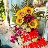 光触媒　人工観葉植物　ウォールグリーン　フェイクグリーン　ひまわりアレンジ745の画像