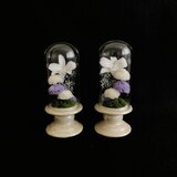 仏花のガラスドーム〜小菊と蘭のアレンジメント〜の画像