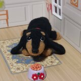 目覚ましたら美味しそうな匂い　お腹の空いたダックスちゃん　羊毛の画像
