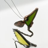 無始 森の妖精　Aタイプ 1の画像