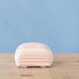 ころんころん・sugiの画像