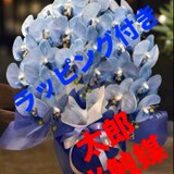 光触媒　人工観葉植物　ウォールグリーン　フェイクグリーン　胡蝶蘭7642の画像