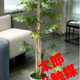 光触媒　人工観葉植物　ウォールグリーン　フェイクグリーン　マウンテンアッシュ@gの画像