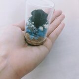プリザーブドフラワー／黒薔薇の魔法発動中シリーズ／黒ミニ薔薇と小花のミニガラスボトルギフトの画像