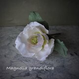 布花飾り＊タイサンボク 5-052の画像