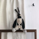 うさぎ noirの画像