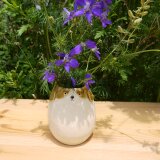 ワンコのフラワーポット(花びん)の画像