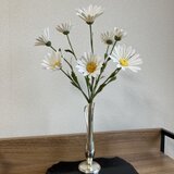 マーガレットの画像