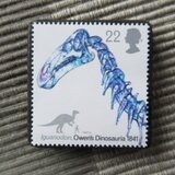 イギリス　恐竜切手ブローチ10512の画像