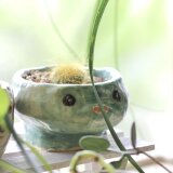 かっぱちゃん 植木鉢