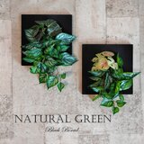 夏を感じる！モダンなブラックボード　観葉植物　フェイクグリーン　光触媒加工済