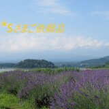 ＊sさまご依頼品の画像