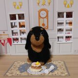 羊毛フェルト ダックスフンド　ケーキとホネどっちもほしいのの画像