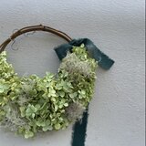 黄緑色　アナベルのハーフリースの画像