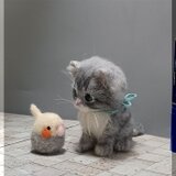 羊毛フェルト　猫　ふさふさな子猫　ねこ　ネコ　猫フィギュアの画像
