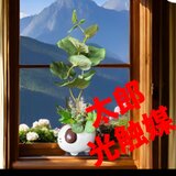 光触媒　人工観葉植物　ウォールグリーン　フェイクグリーン　犬ポット観葉アレンジ5の画像