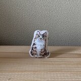 ムムッな猫さん　刺繍ブローチ