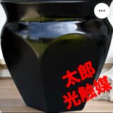 光触媒　人工観葉植物　ウォールグリーン　フェイクグリーン　尺〜尺2サイズ黒ツボの画像