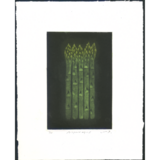 銅版画「アスパラガス（カラー）」