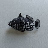 モンガラ　ブローチ　黒