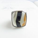 ピクチャーアゲードのリング