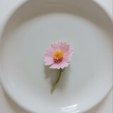 染め布花＊小さなコスモスのブローチ