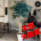 光触媒　人工観葉植物　ウォールグリーン　フェイクグリーン　い