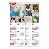 2026年のらともA3サイズ壁貼りカレンダーのコピーのコピー