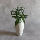 フラワーベース　生成り