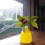 konoha花瓶すぼみくち～イエロー×ミント～