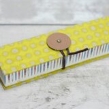 pen-case [ ドットイエローx万年筆 ]