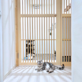 ネコちゃん用 脱走防止ドア