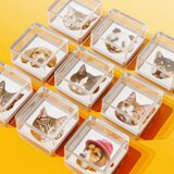 世界一つだけのスタンプ　ハンコ　愛犬・愛猫・動物・ペット・ウサギ・ハムスター・鳥など