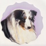 シェルティの肖像画