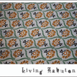 赤ちゃんと暮らす『リビングザブトン』