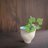 広口弥生小壺 no.24 suger coated