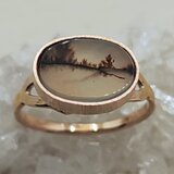 自然が撮ったセピア写真