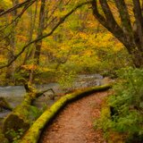 燃えたつ秋［10］【風景写真・おしゃれなポスターアート インテリア】【縦長】