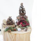 6点セット　松ぼっくりと木の実のクリスマスツリー　アレンジ自由　イエスキリスト降誕　木の実　どんぐり