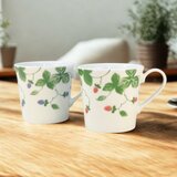 野苺マグ　2色組【美濃焼】