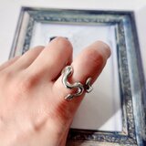 パイソンの指輪