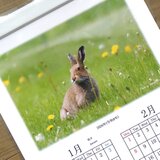 2026年・エゾウサギの壁掛けカレンダー（2か月毎・祝日付き）