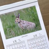 2026年・エゾウサギの壁掛けカレンダー（2か月毎・祝日付き）のコピー