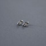 SV925 ピアス / tsukimi