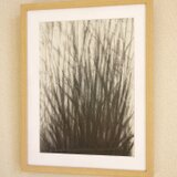 ant'sview2 （額縁付き） 立ちはだかる草むら