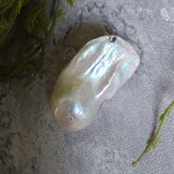 　金魚バロック【ヒレ真珠】