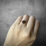 273 ヴィンテージ きらめく真紅の蕾 – シルバークラスタリング