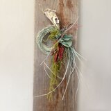 迎春のしつらえ　しめ縄飾り｜根付きレモングラス